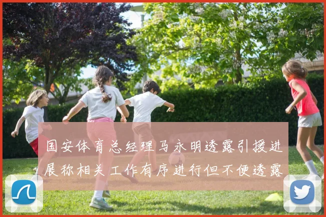 国安体育总经理马永明透露引援进展称相关工作有序进行但不便透露名字