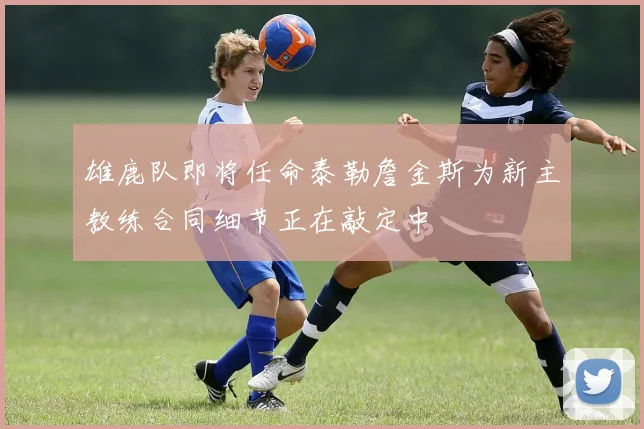 雄鹿队即将任命泰勒詹金斯为新主教练合同细节正在敲定中