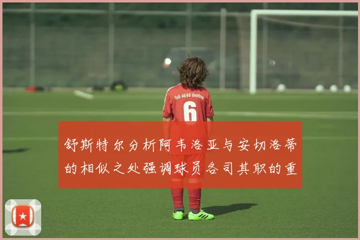 舒斯特尔分析阿韦洛亚与安切洛蒂的相似之处强调球员各司其职的重要性